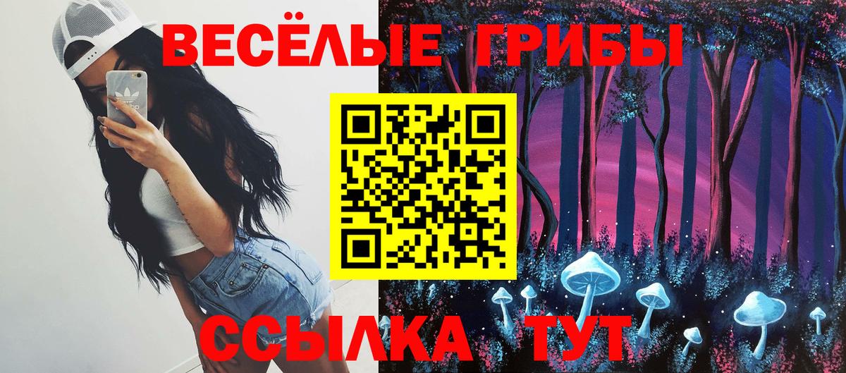 Химки  Псилоцибиновые грибы мицелий  Вход с VPN 