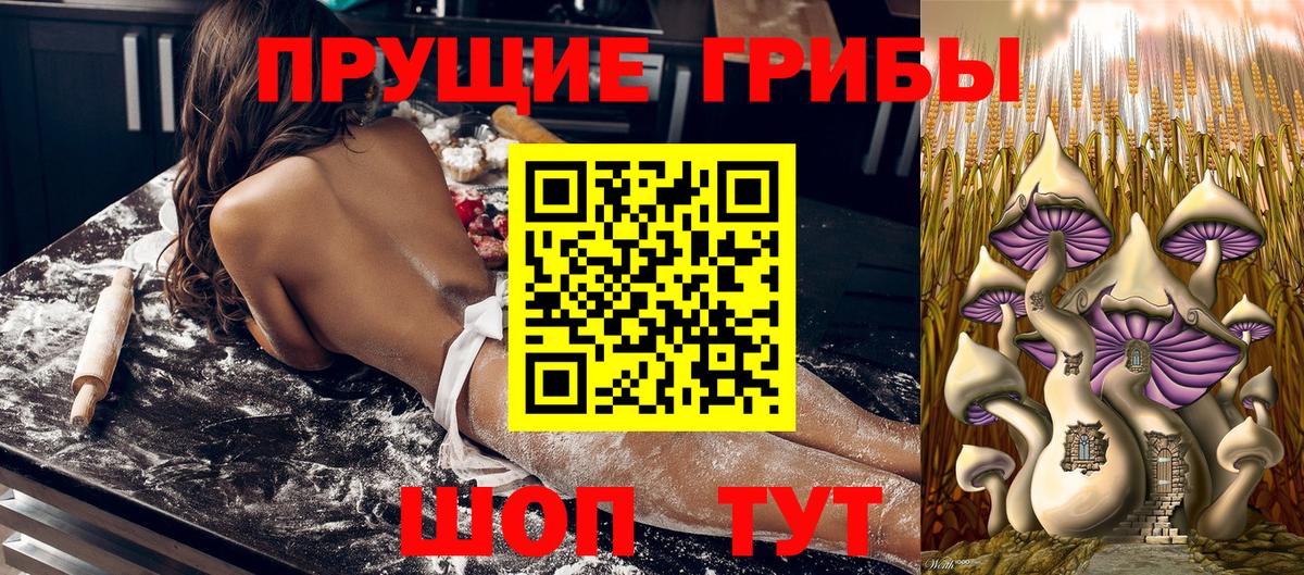 Псилоцибиновые грибы Psilocybine cubensis Химки